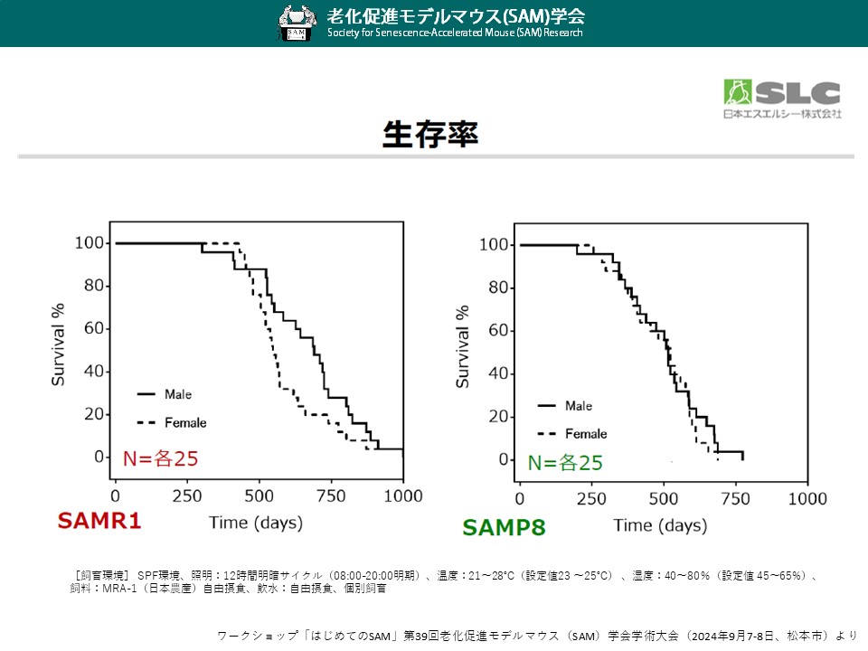 003_SAM生存曲線（雌雄R1_P8）