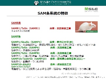 001_SAM特性（各系統）