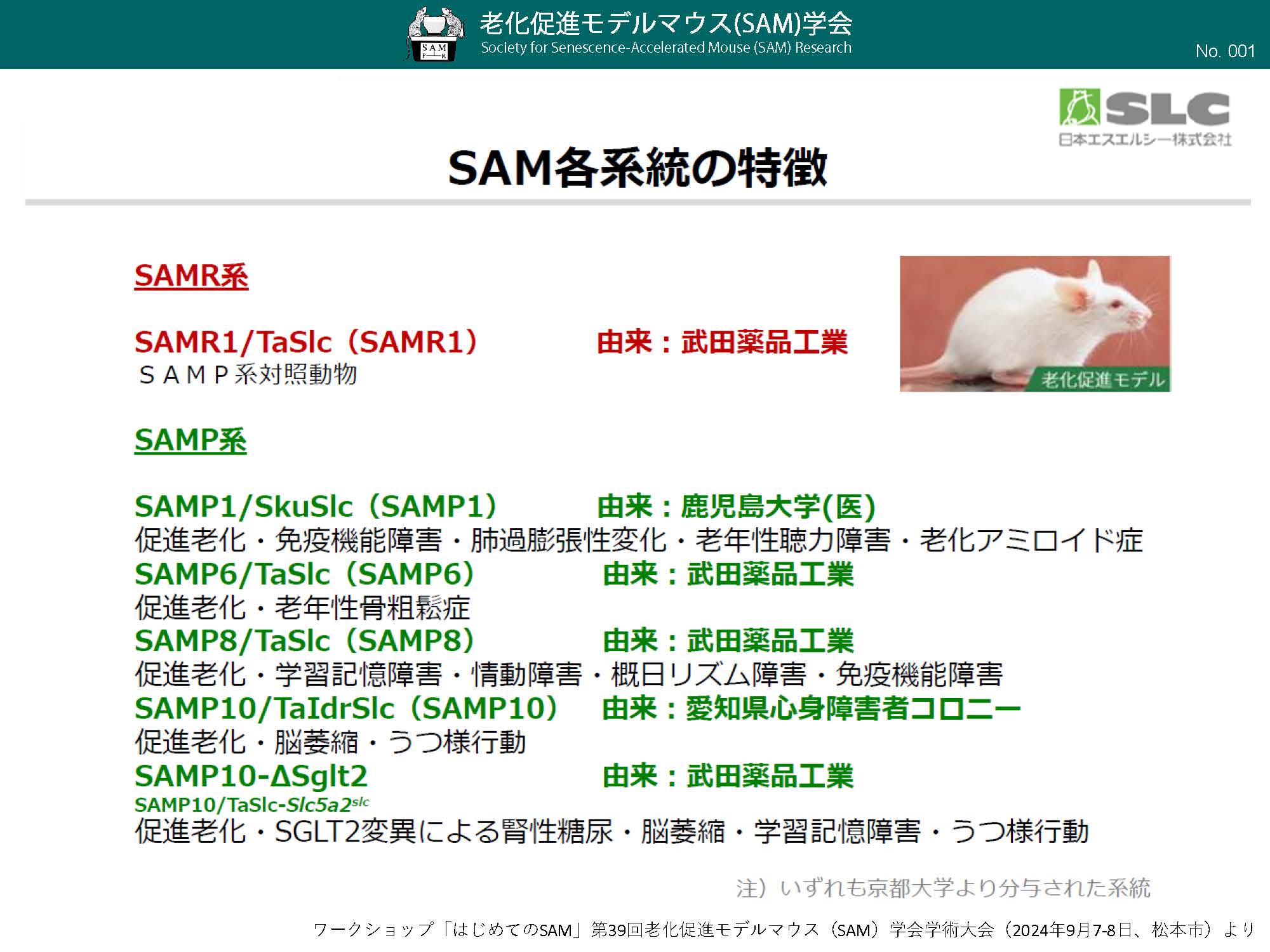 001_SAM各系統の特徴